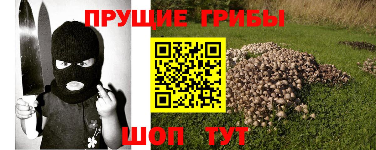 Галлюциногенные грибы Psilocybe  Вход с VPN  Партизанск  сколько стоит  Псилоцибиновые грибы MAGIC MUSHROOMS 