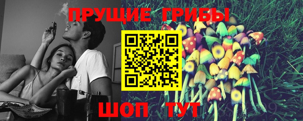 Псилоцибиновые грибы прущие грибы Партизанск